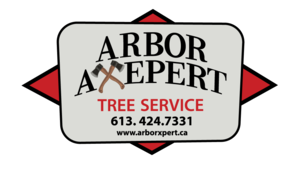 Arboraxepert Logo