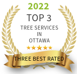 top 3 rated in ottawa